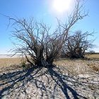 Klimawandel